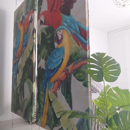 Apartmán Tropical Loft Corralejo Exteriér fotografie