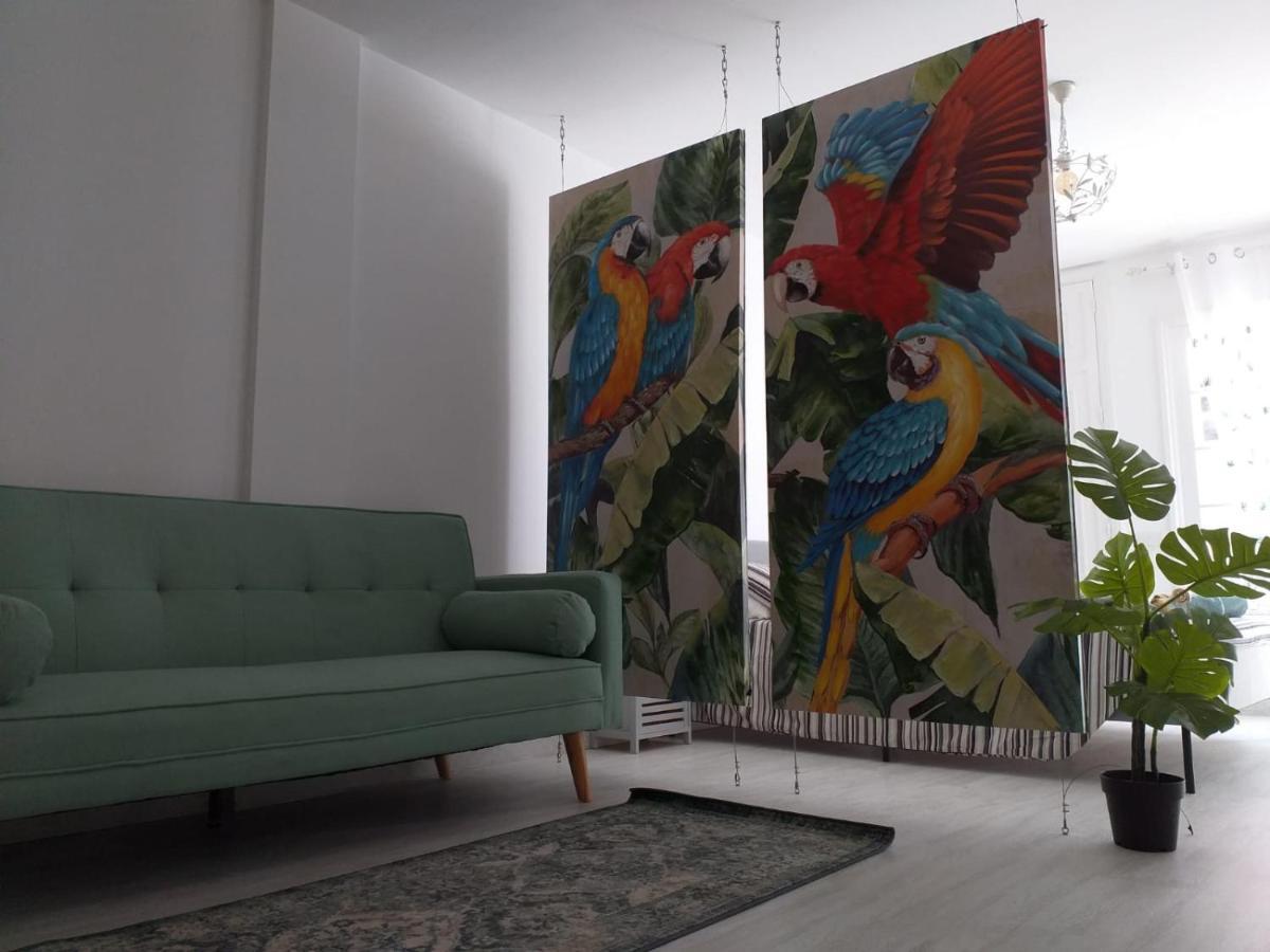 Apartmán Tropical Loft Corralejo Exteriér fotografie
