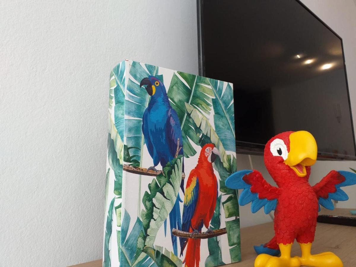 Apartmán Tropical Loft Corralejo Exteriér fotografie