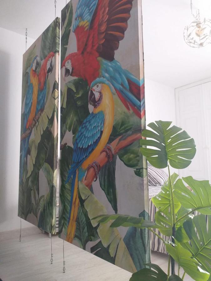 Apartmán Tropical Loft Corralejo Exteriér fotografie